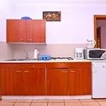 Kamelija 316