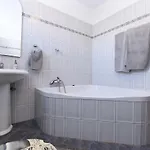 Kamelija 316