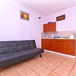 Kamelija 316 *