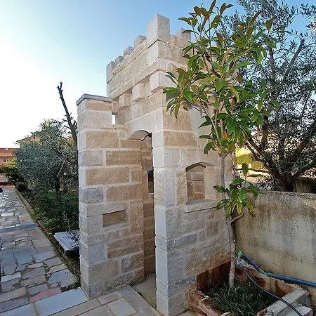 Kamelija 316 *