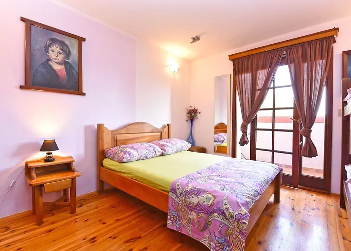 Kamelija Apartments 316
